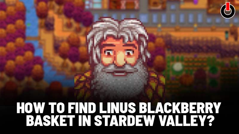 Stardew Valley Linus Basket How To Find Linus Blackberry Basket