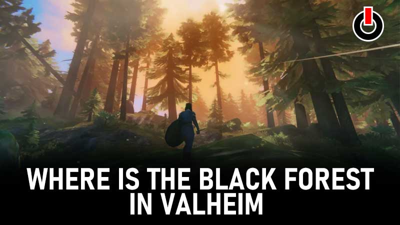 Where Is Black Forest In Valheim?