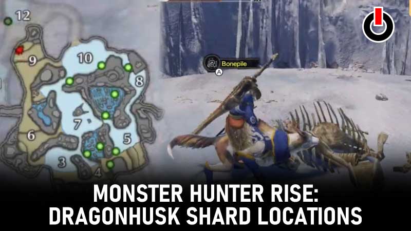 dragonhusk-shards-locations
