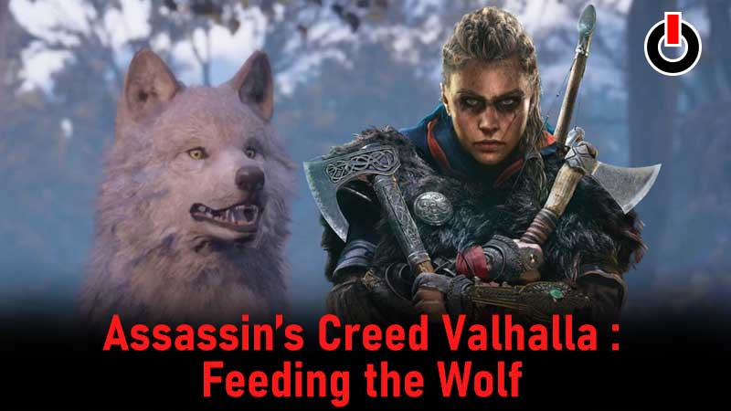 Assassin’s Creed Valhalla : Feeding the Wolf