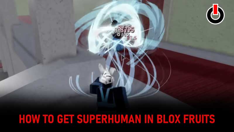 Blox Fruits Superhuman Guide