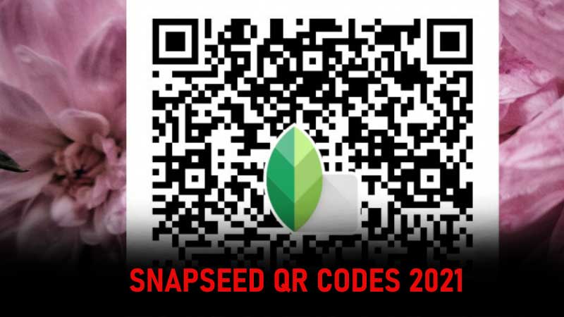 Snapseed QR Codes 2021