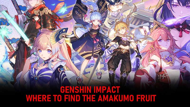 Genshin Impact Amakumo Fruit