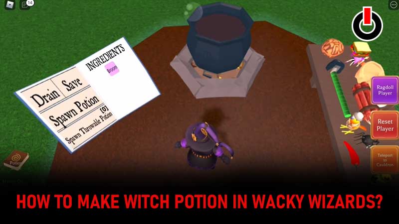 Witch Potion Wacky Wizards Guide