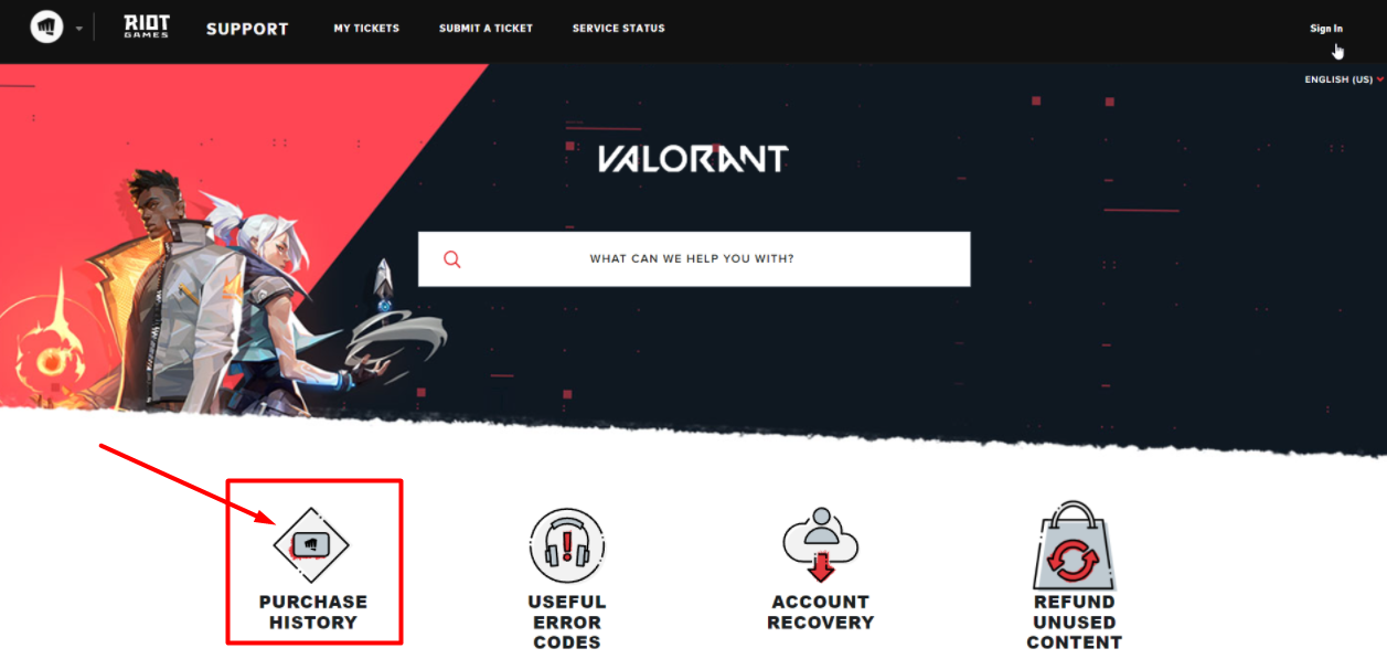 How To Check How Much Money Have You Spent on Valorant So Far?