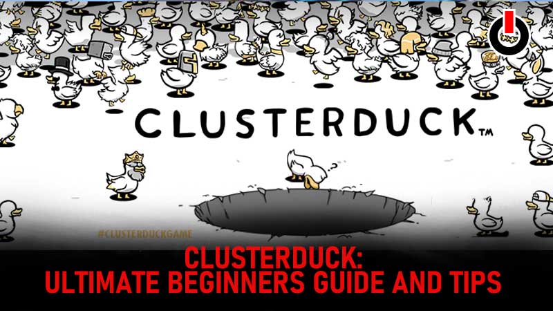 Clusterduck Beginners Guide