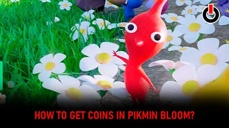 how to get coins in Pikmin Bloom?