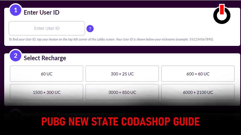 PUBG NEW STATE Codashop Guide