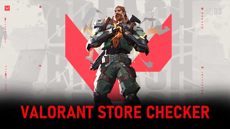 Valorant Store Checker: How To Search For Inventory Items Online?