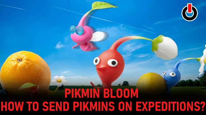 pikmin bloom expedition