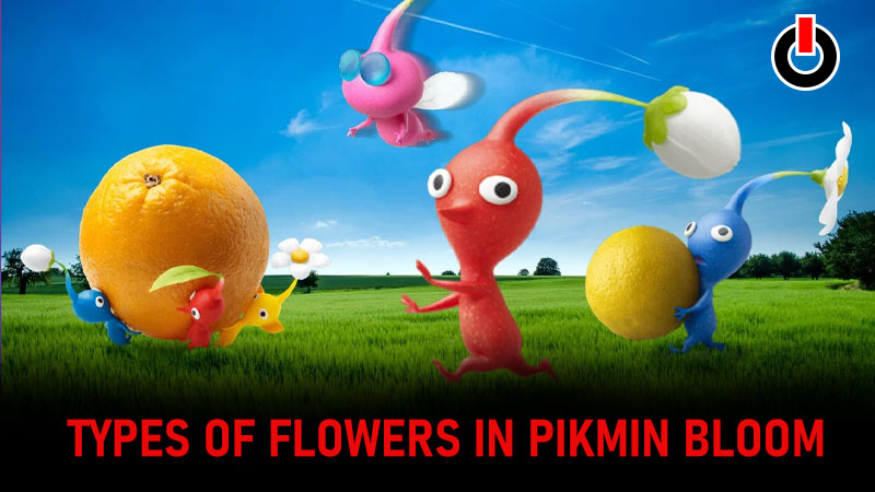 types of flowers Pikmin Bloom