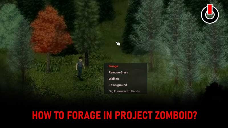 Forage Project Zomboid 