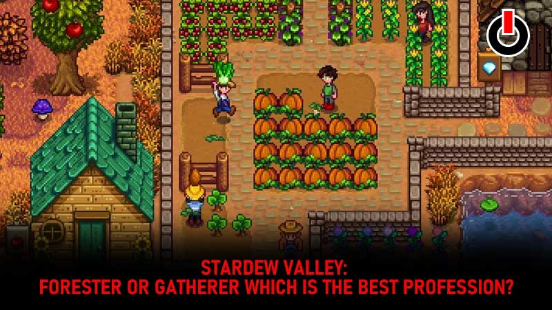 forester or gatherer stardew valley