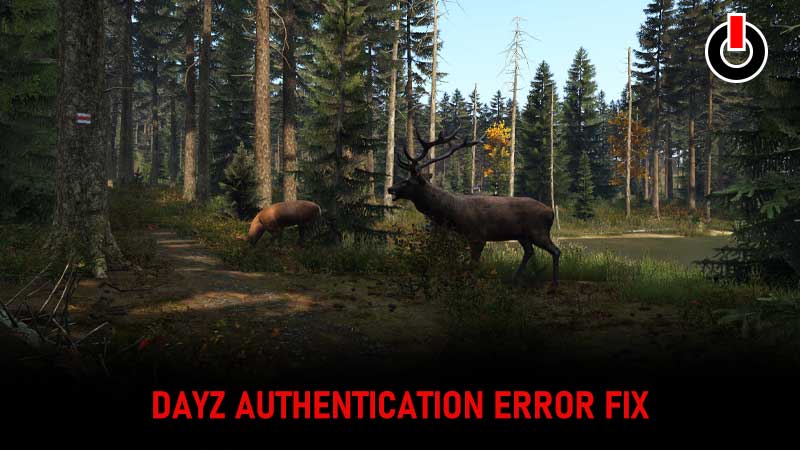 DayZ Authentication Error