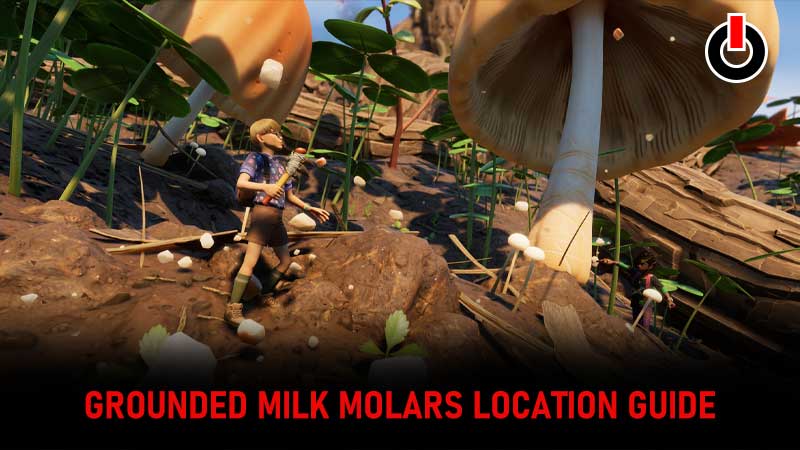 Grounded Milk Molars Locations - All Upgrade Token Locations