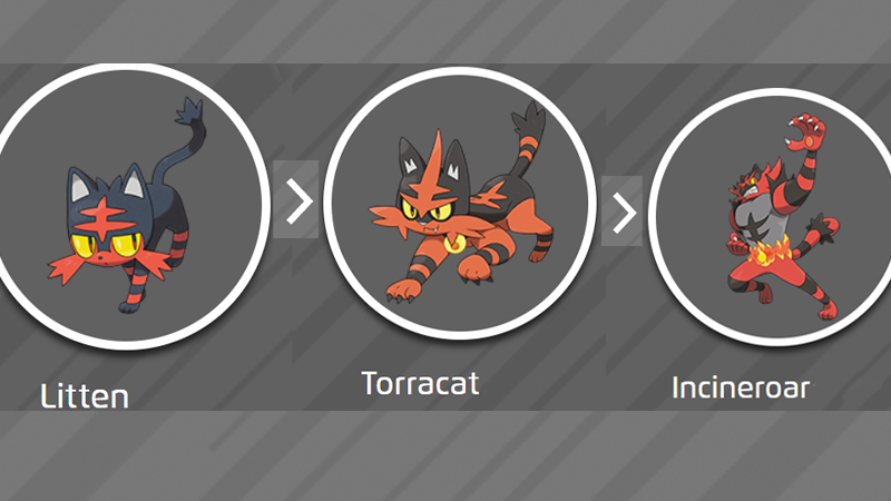 Pokemon Go Litten : How To Catch It And Is Shiny Litten Available?