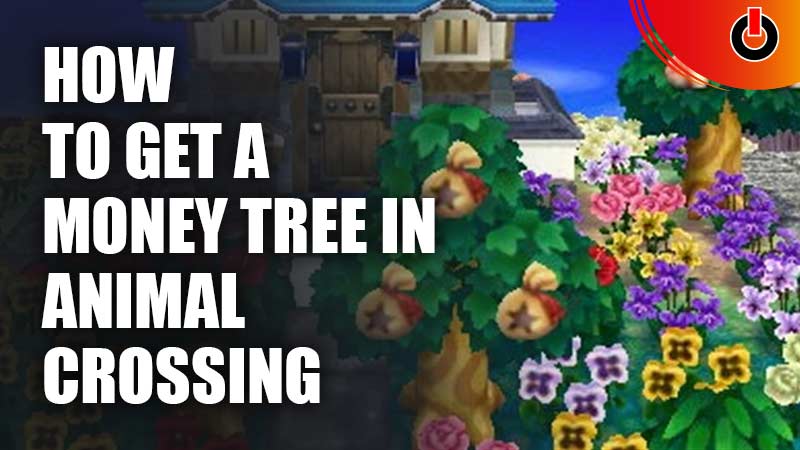 How To Get A Money Tree In Animal Crossing