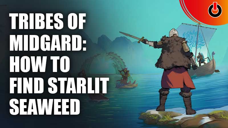 how to find starlit seaweed