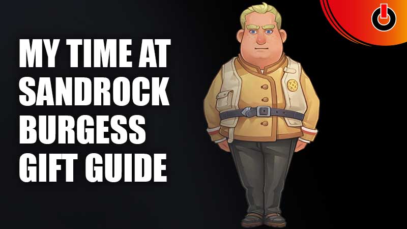 My-Time-At-Sandrock-Burgess-Gift-Guide