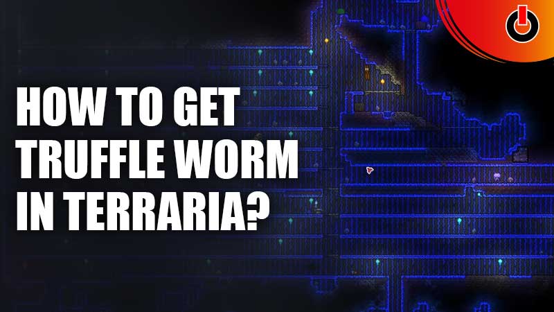 How-To-Get-Truffle-Worm-In-Terraria