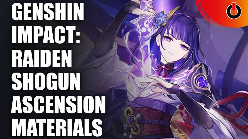 Genshin-Impact-Raiden-Shogun-Ascension-Materials