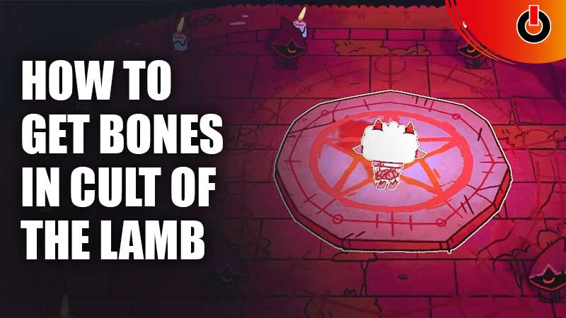 How To Get Bones In Cult Of The Lamb fast