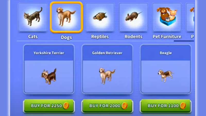 How To Train Pets In Virtual Families 3 - Games Adda