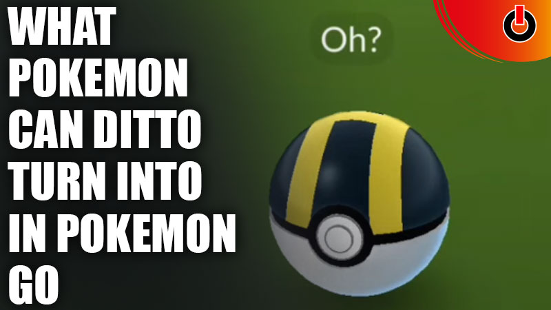 Pokémon Ditto can Turn into in Pokémon Go