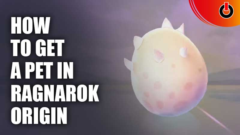 How To Get A Pet In Ragnarok Origin